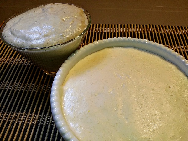 Gorgonzola Vegano Home Made
