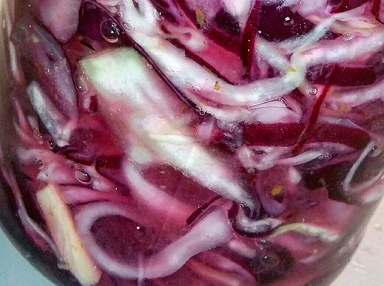 fermentazioni